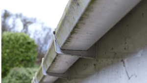 gutter cleaning service